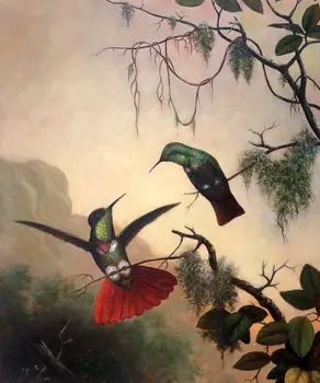 Ptice, Živali, Barvanje za Office Dekorativno Slikarstvo Dve Hooded Visorbearer Hummingbirds s Martin Johnson Heade Steno Umetnosti